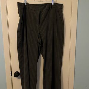 Torrid Pants